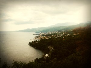 IMG_8601