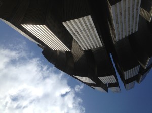 IMG_9004