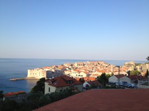 IMG_9113