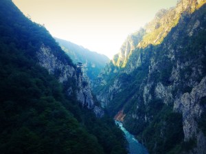 IMG_9307