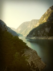 IMG_9309
