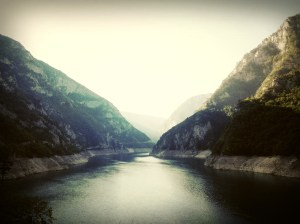 IMG_9310